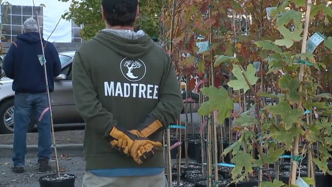 Previous ReLeaf program 