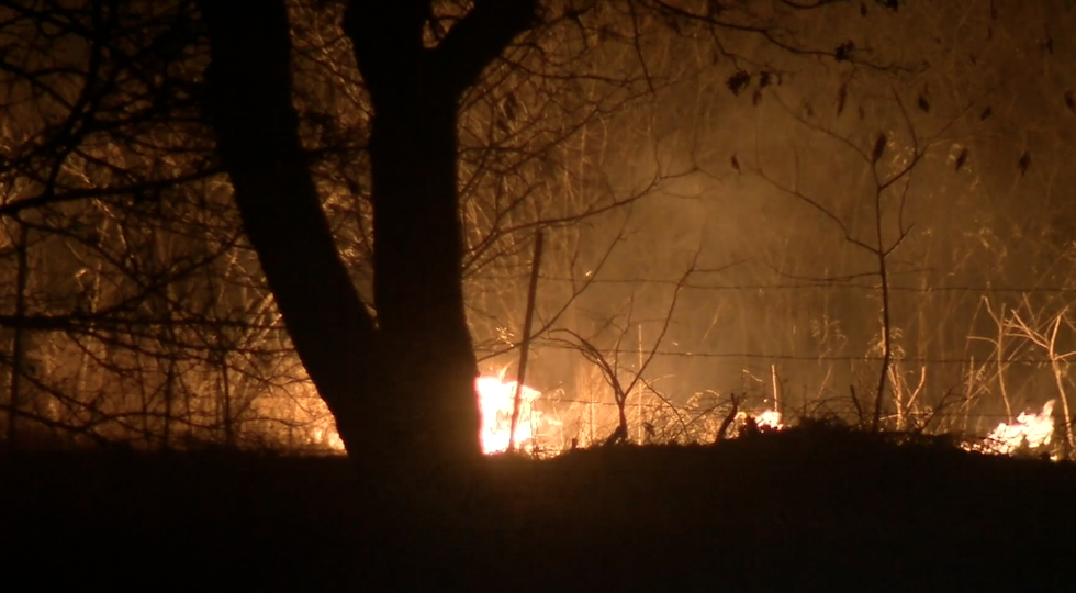 Screenshot 2025-03-19 at 5.17.28 PM.png