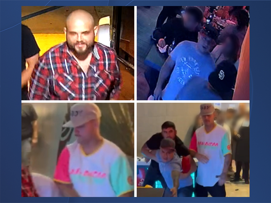 chula_vista_block_party_fight_cvpd.jpg