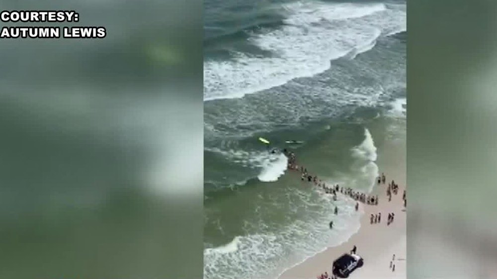 wptv-human-chain-panama-city-beach.jpg