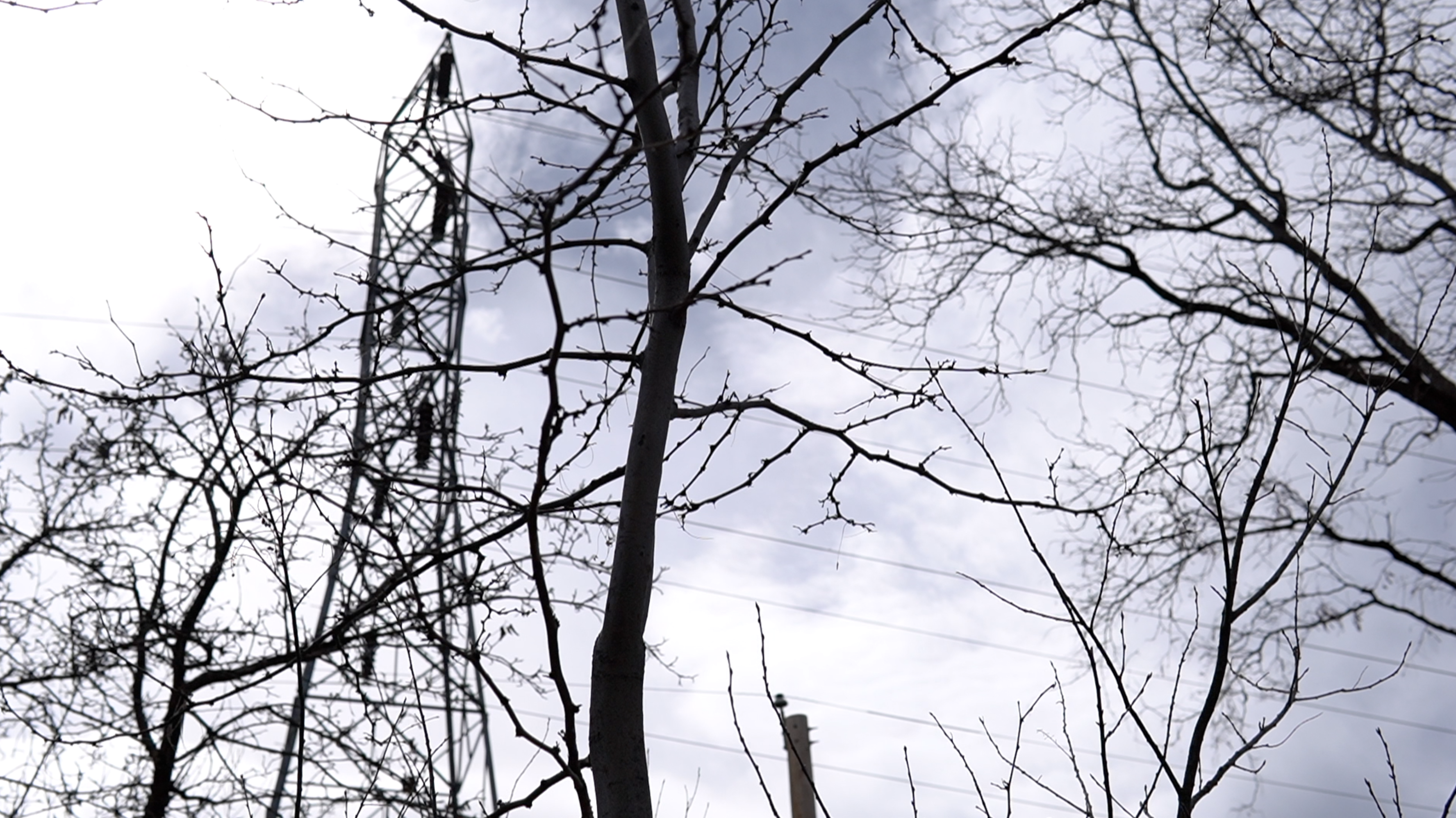 xcel power poles 