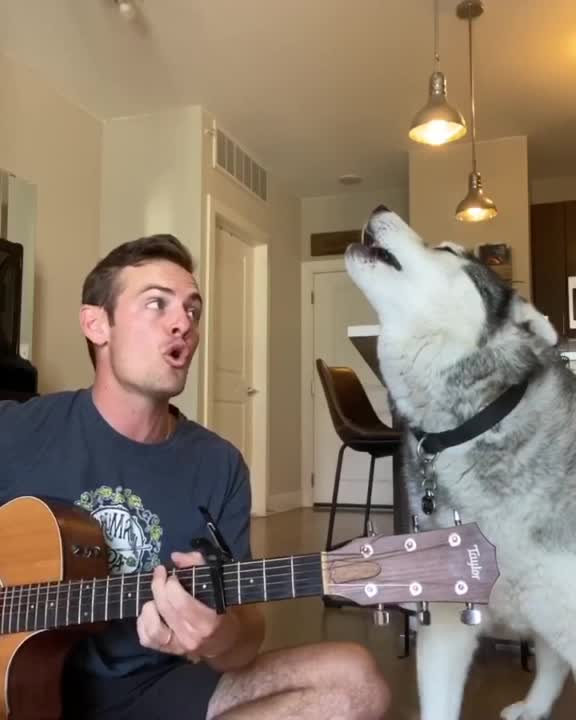 VIDEO: Healthcare worker and dog sing duet of hit song "I'm yours"
