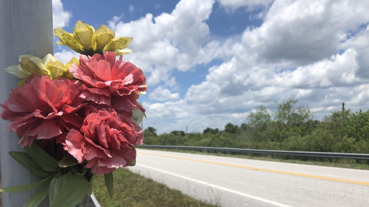 Flowers on a light pole along State Road 710.