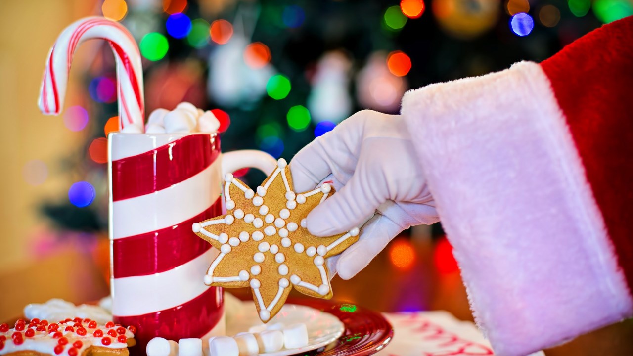 Santa's Winter Welcome - Vimarsana News
