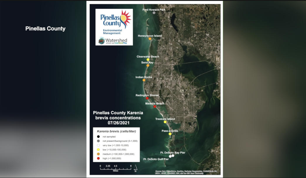 red tide-pinellas.png