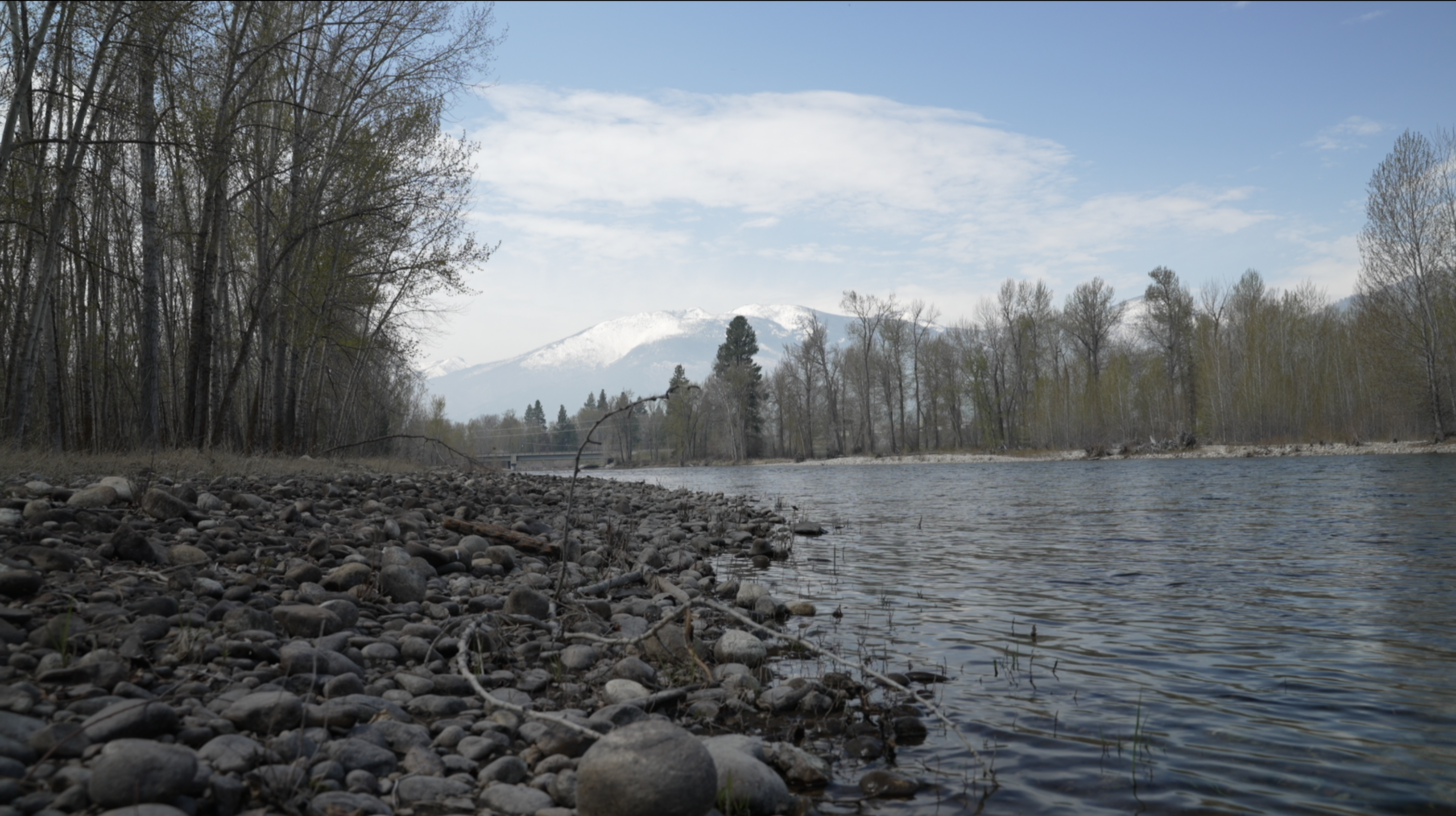 Bitterroot River 