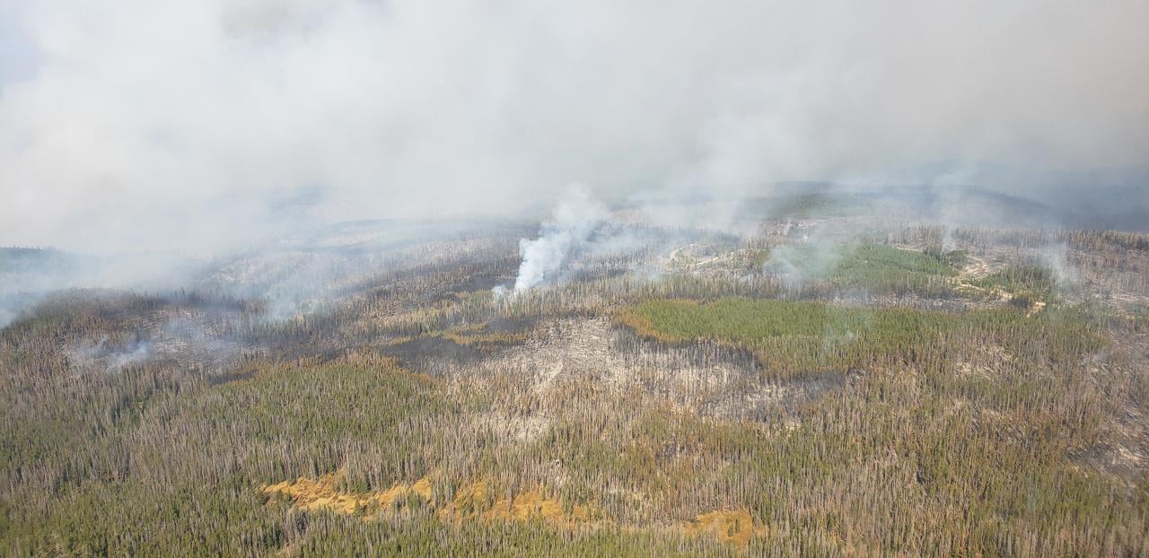 Mullen Fire remains 14% contained after aggressive fire behavior Monday