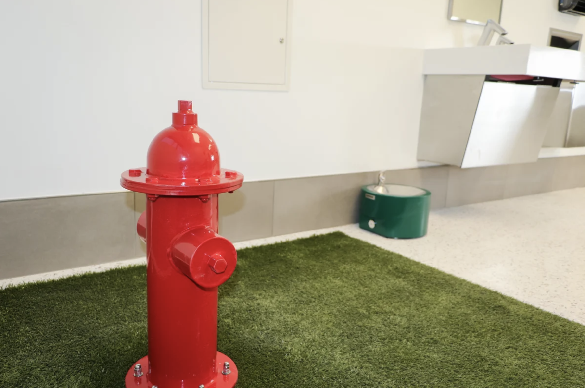 pet relief area