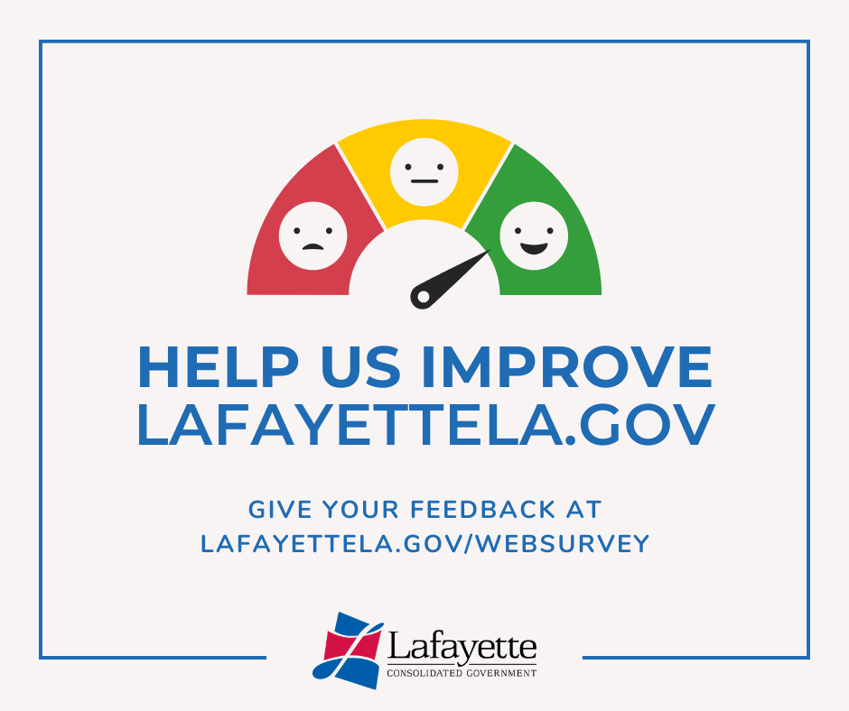 LCG Website Citizens Survey.png