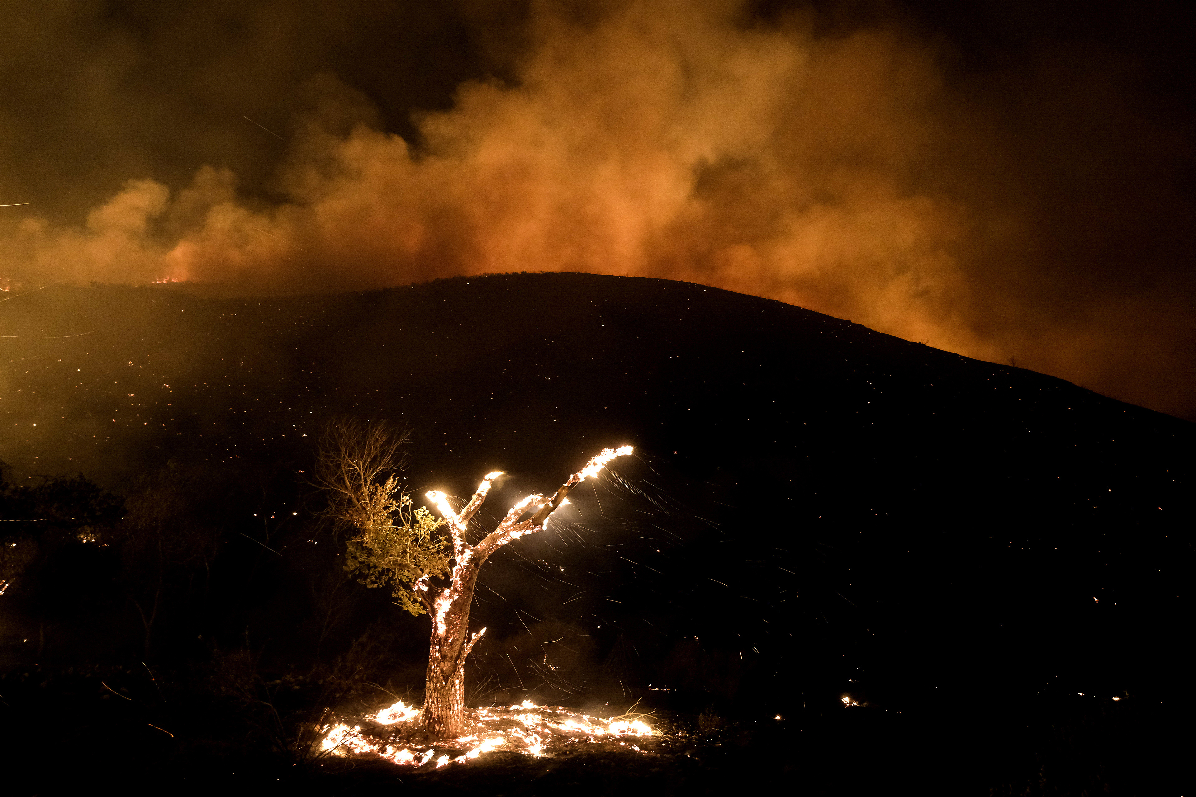 California Wildfires