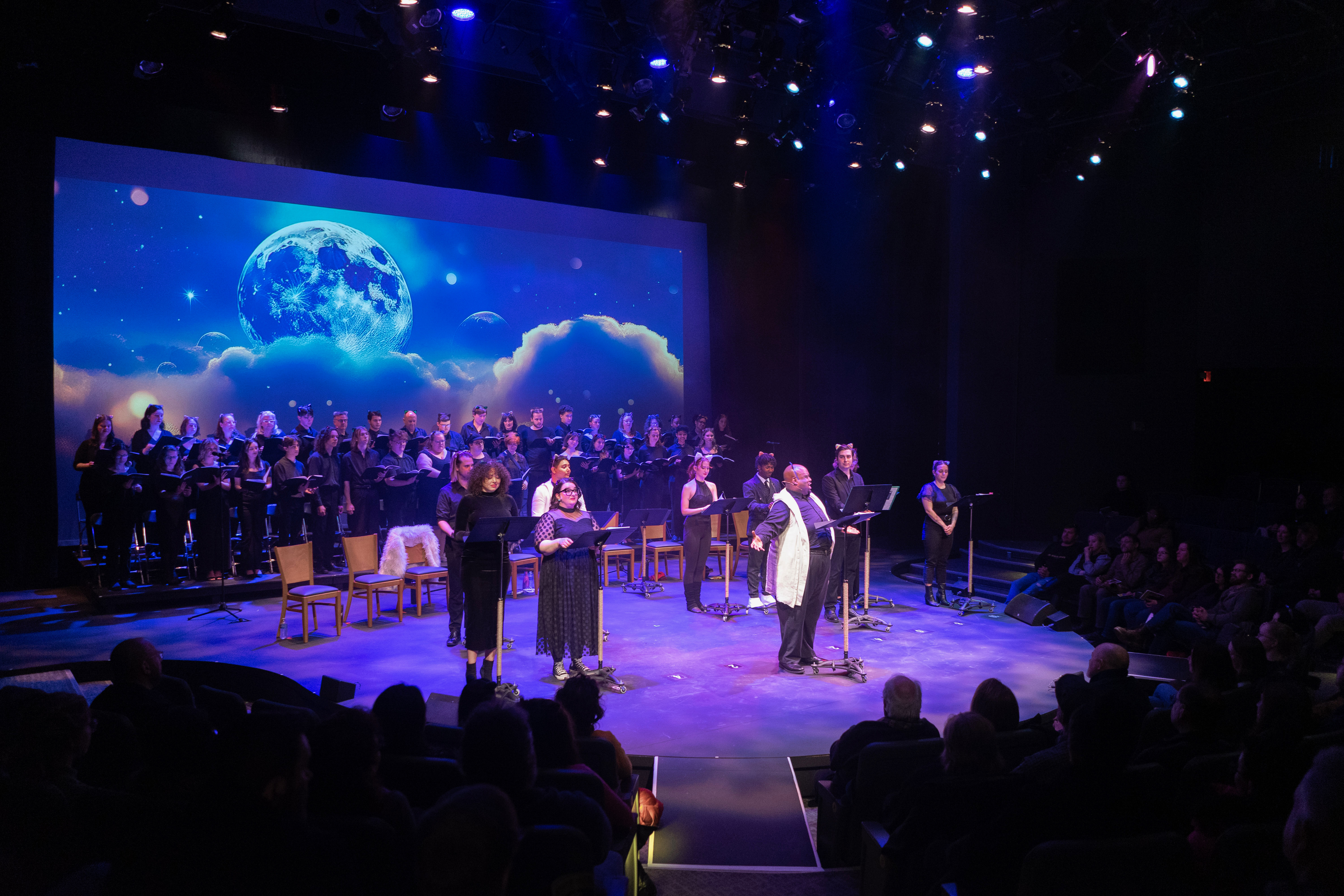 Starring Buffalo CATS. Credit Tomas Waz.jpeg