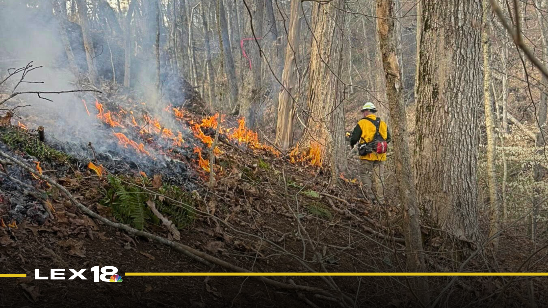 Mount Vernon firefighters extinguish 20 acre forest fire