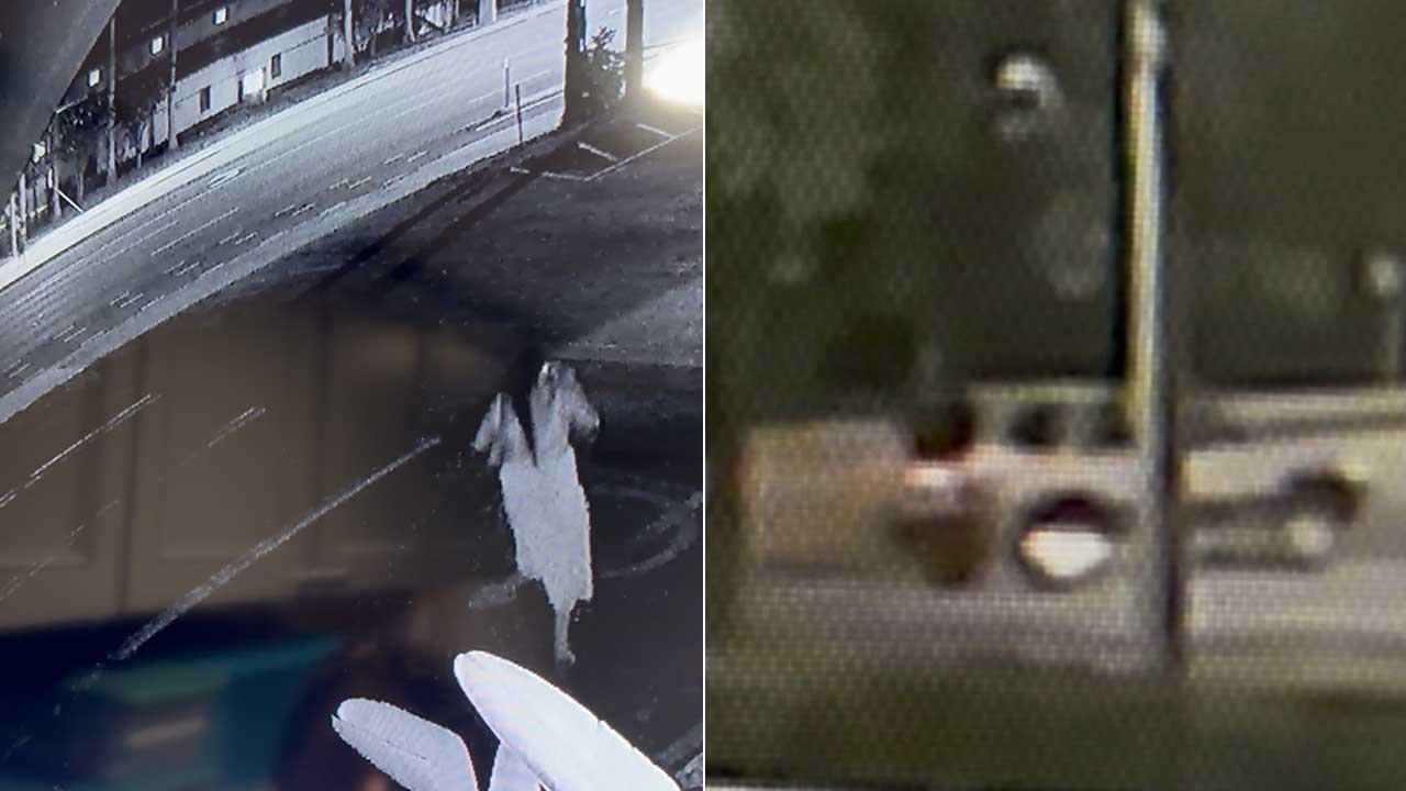 The Village of Palm Springs Police Department is continuing its investigation into a fatal hit-and-run crash that occurred on June 20, 2026, in the 4100 block of Lake Worth Road, between Kirk Road and South Military Trail. They are now seeking the public's assistance in identifying a potential witness who was observed walking in the area.
