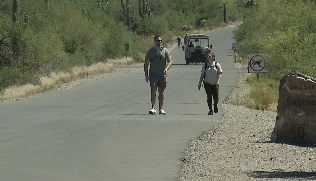 hikers at sabino canyon