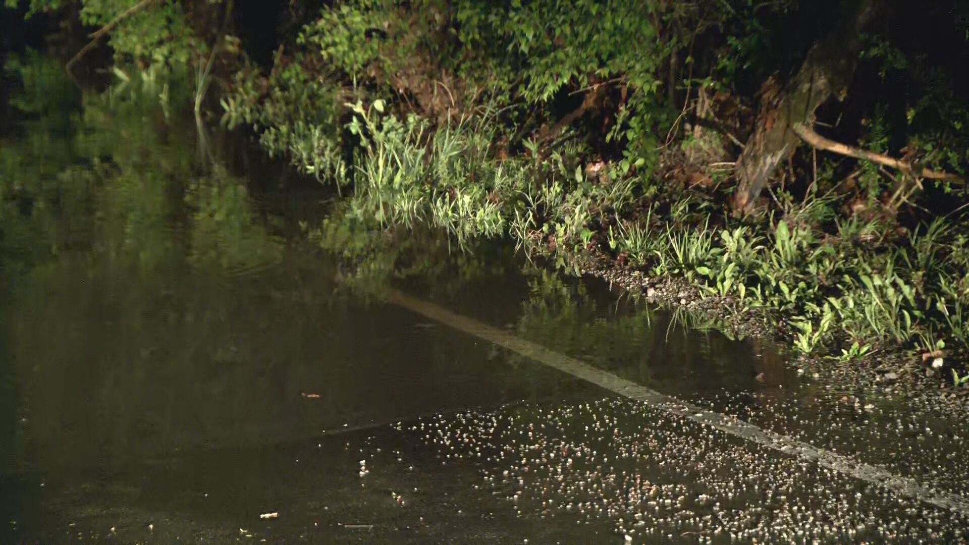 AM Aaron- South Nashville Flooding.transfer_frame_11.jpeg