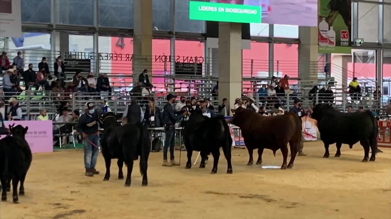 Angus breeders participate in beef genetics trade mission