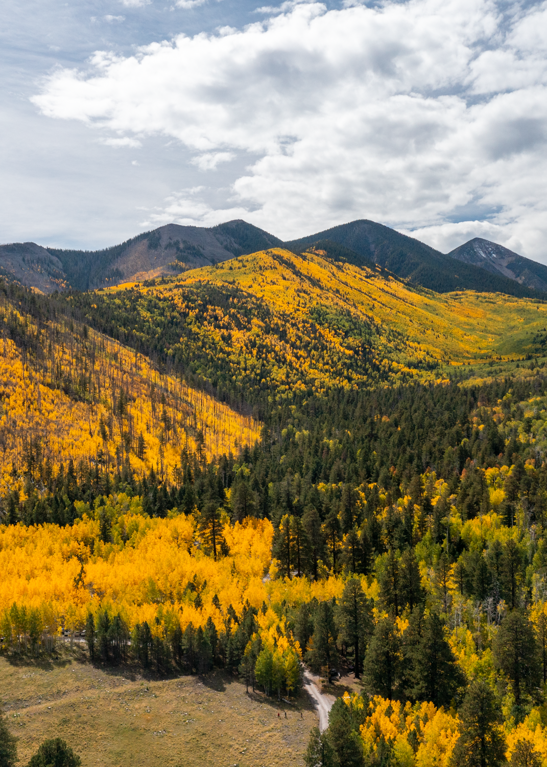 flagstaff fall colors