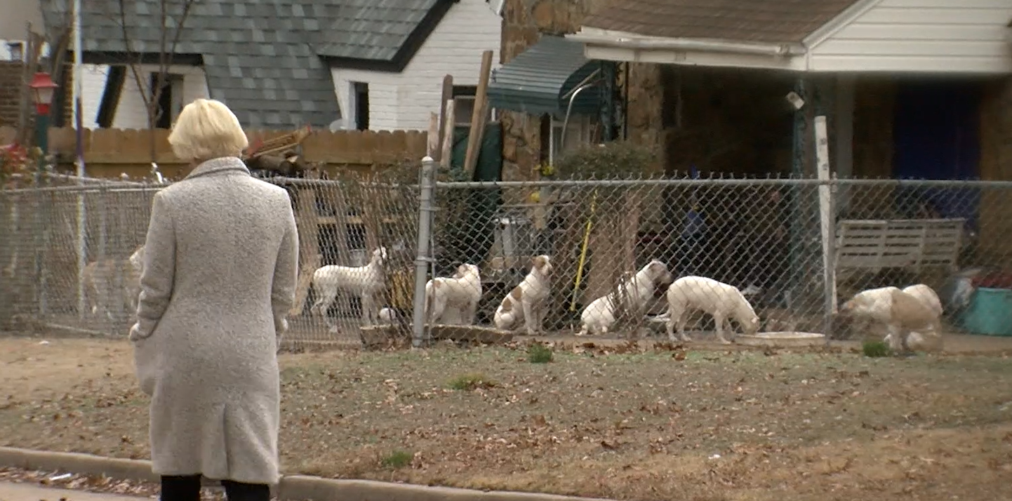 Screenshot 2025-02-13 154803.png