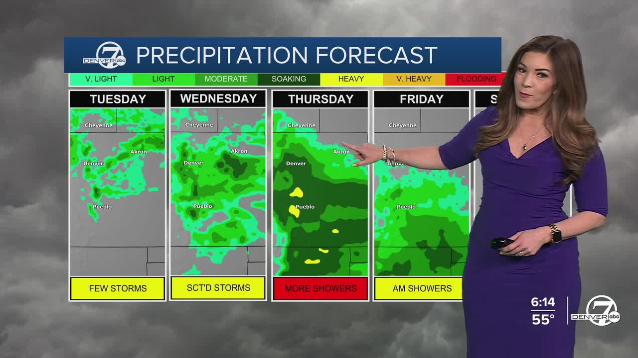 Precipitation Forecast