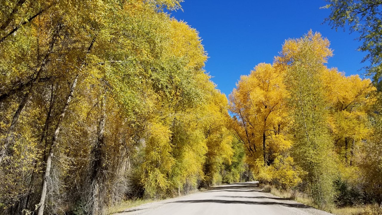 Colorful Colorado