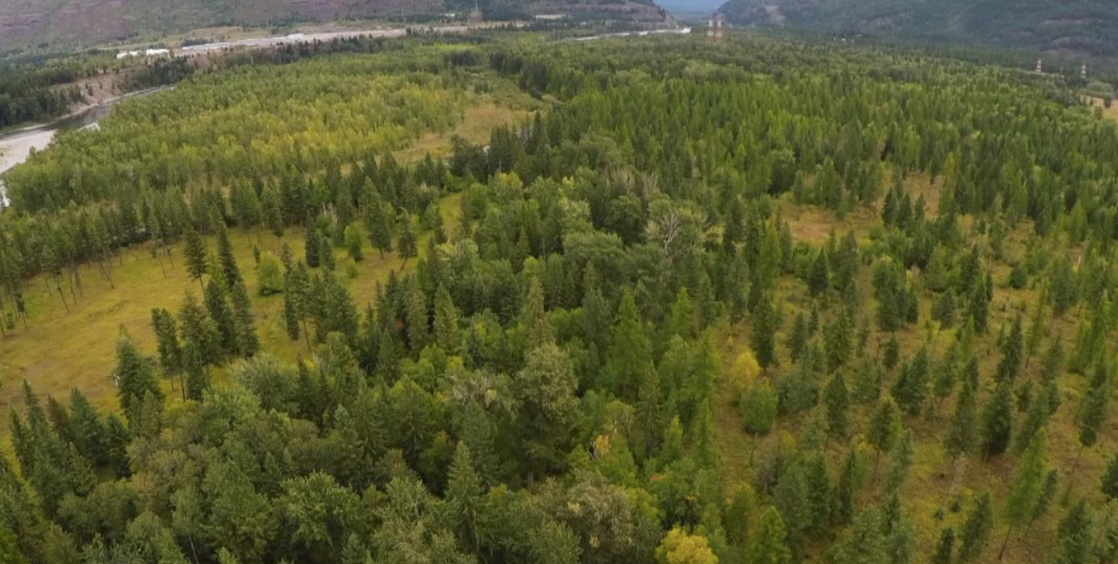 Bad Rock Canyon Wildlife Management Area 