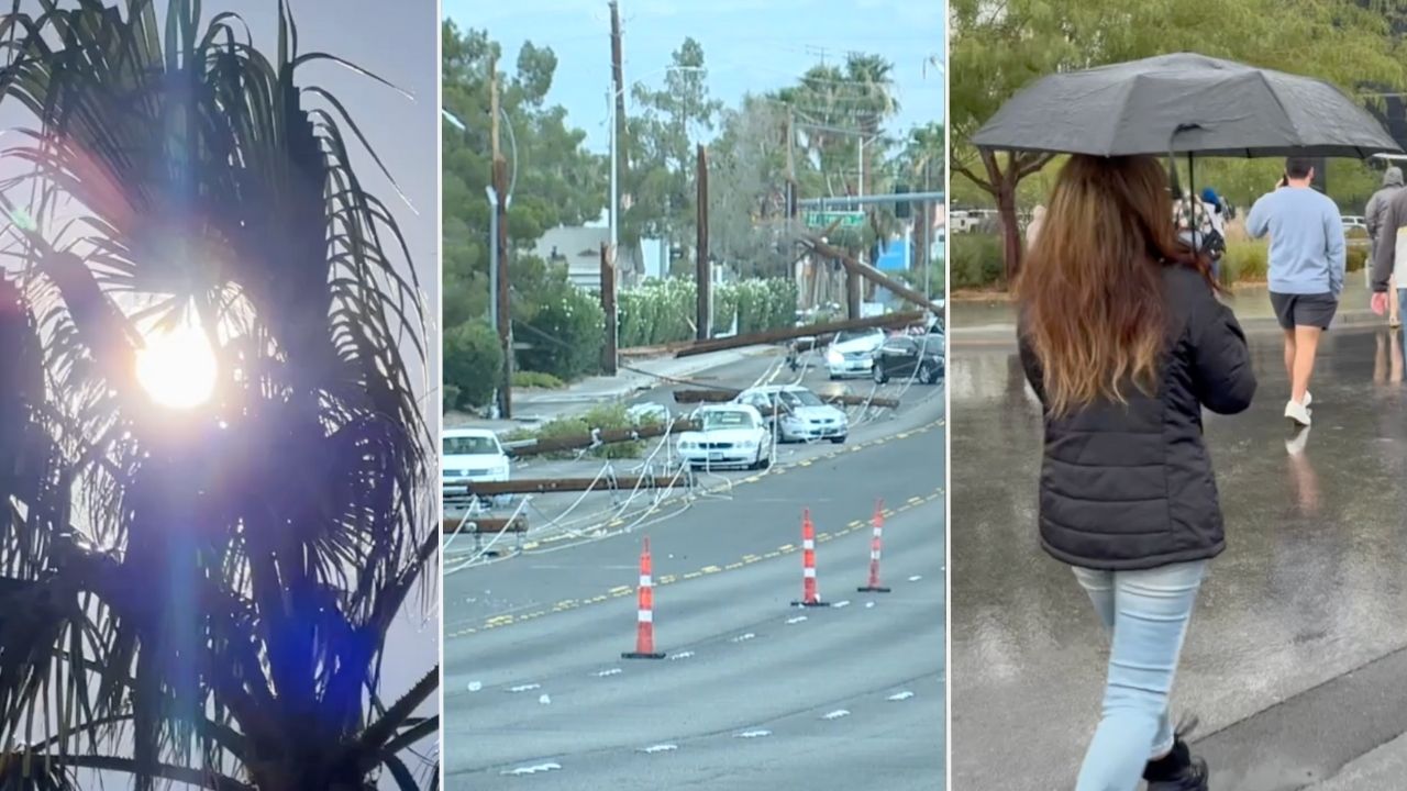 2025 weather wrapped