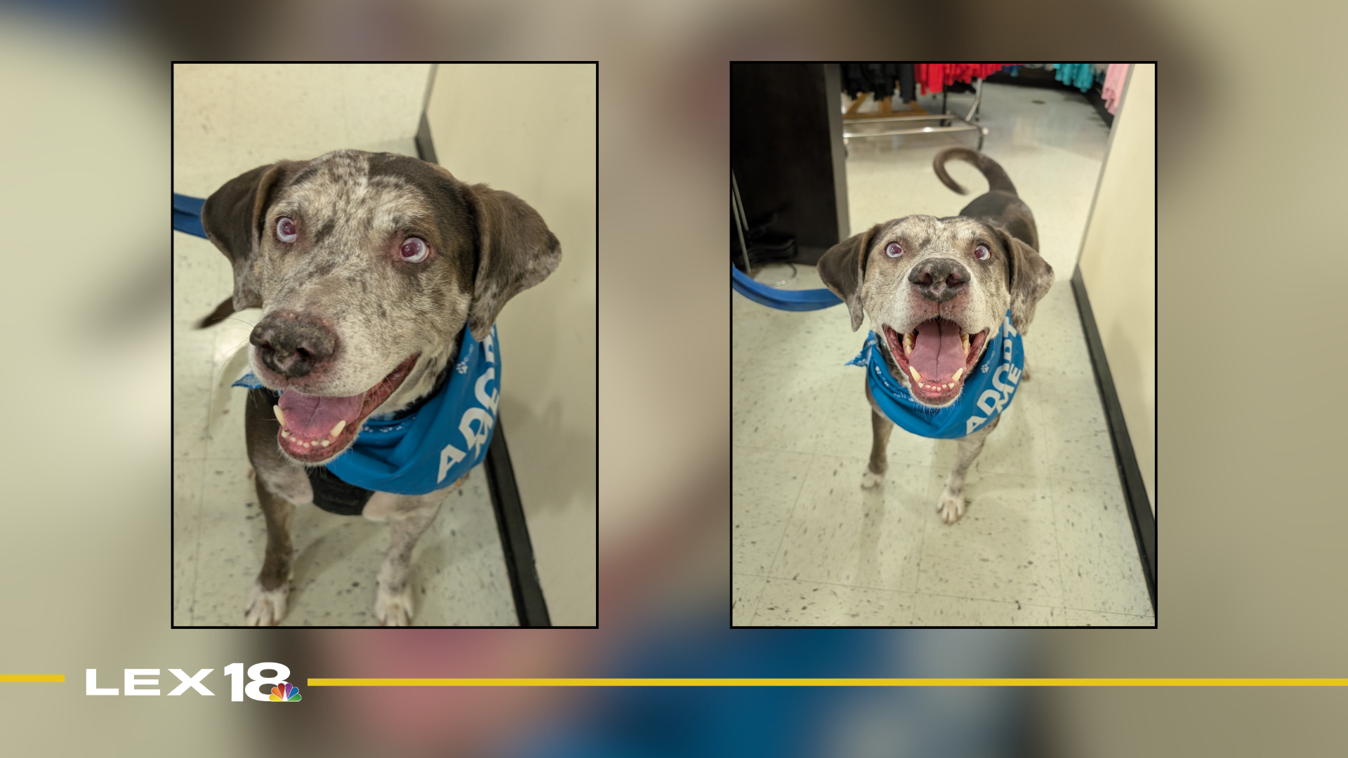 Featured Image Custom Edit (13).png