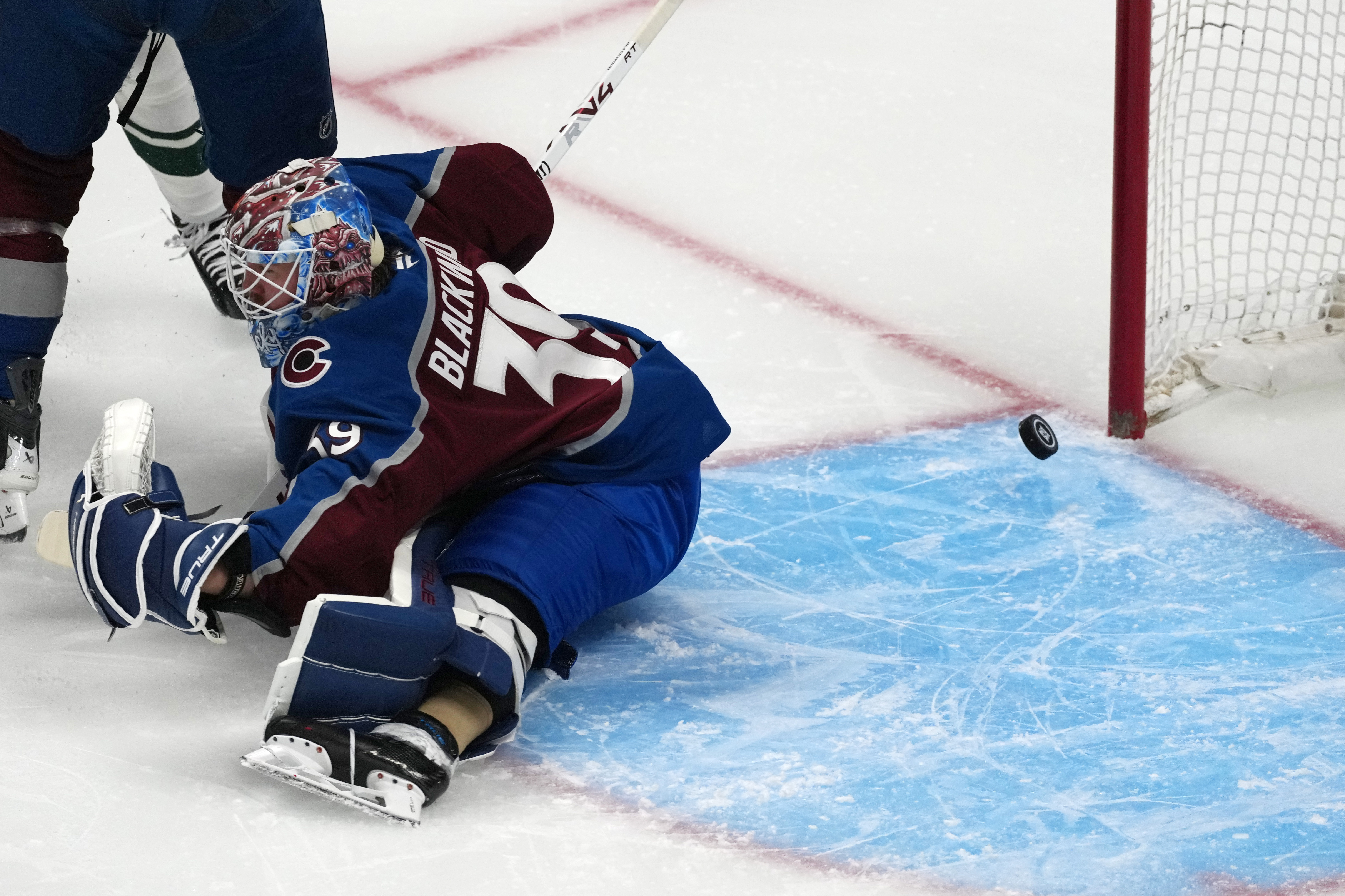 Wild Avalanche Hockey