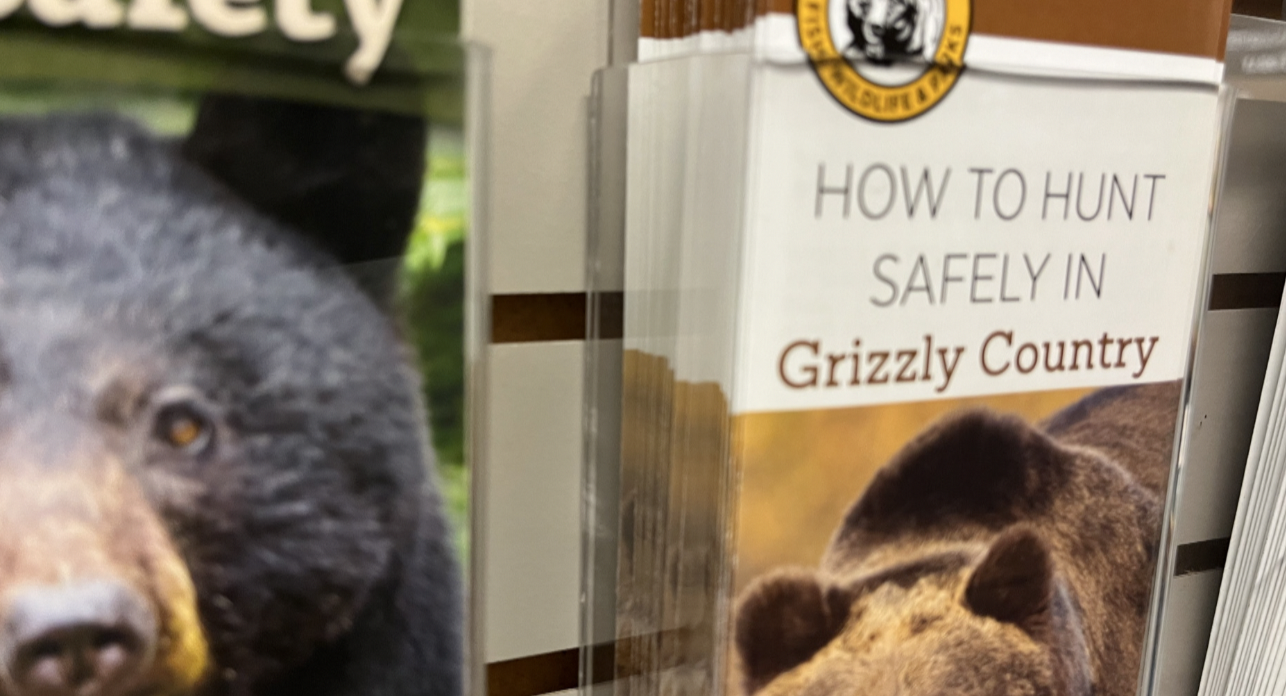 Grizzly safe 