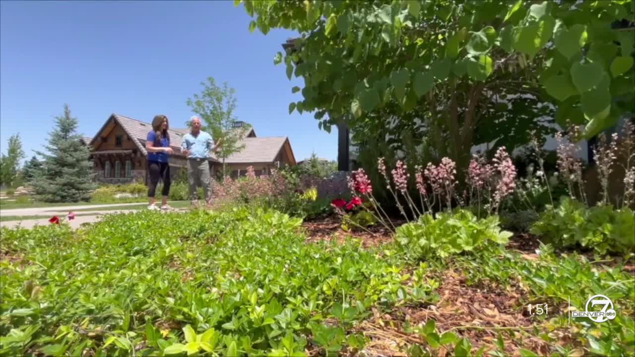 Danielle Grant gardening - when and where