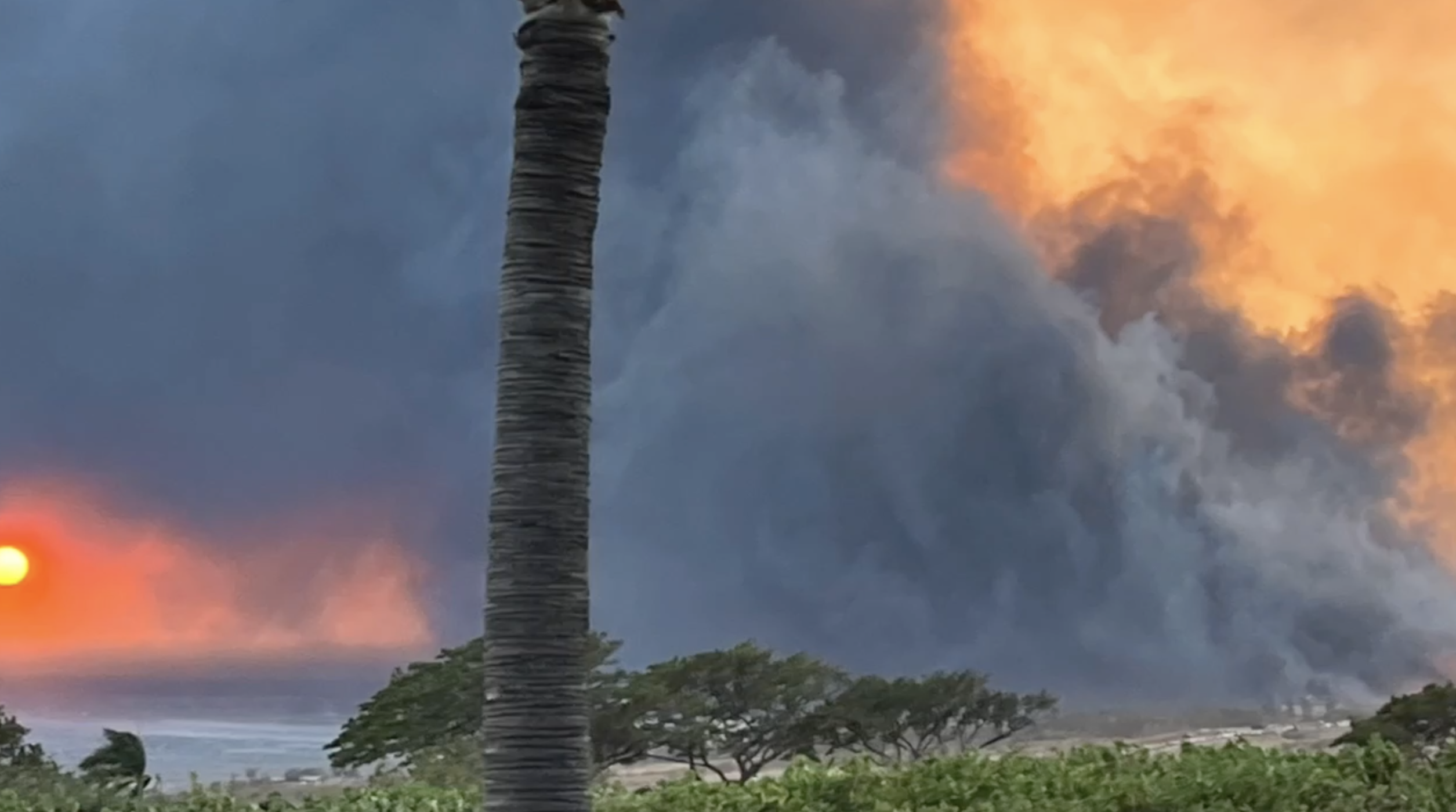 Alpine native loses home, vehicle in Maui wildfires