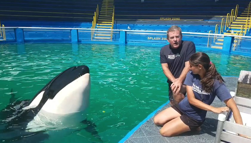 Miami Seaquarium_Lolita