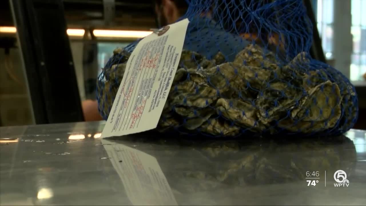 'Sebastian Silvers' from Treasure Coast Shellfish being sold to area restaurants