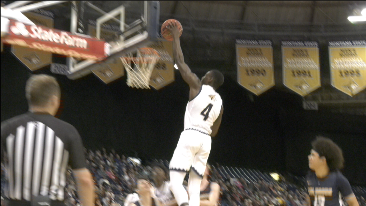 Montana State basketball