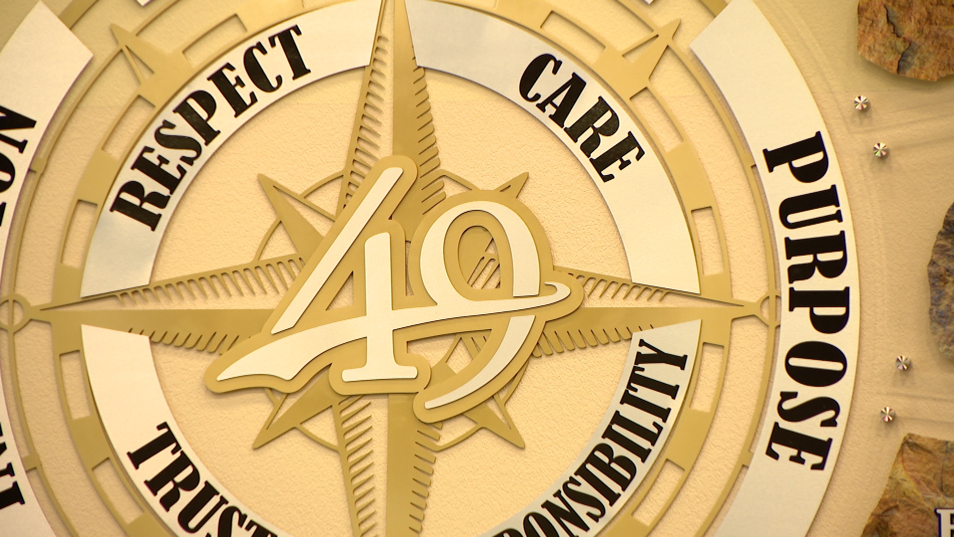 D49 special board meeting