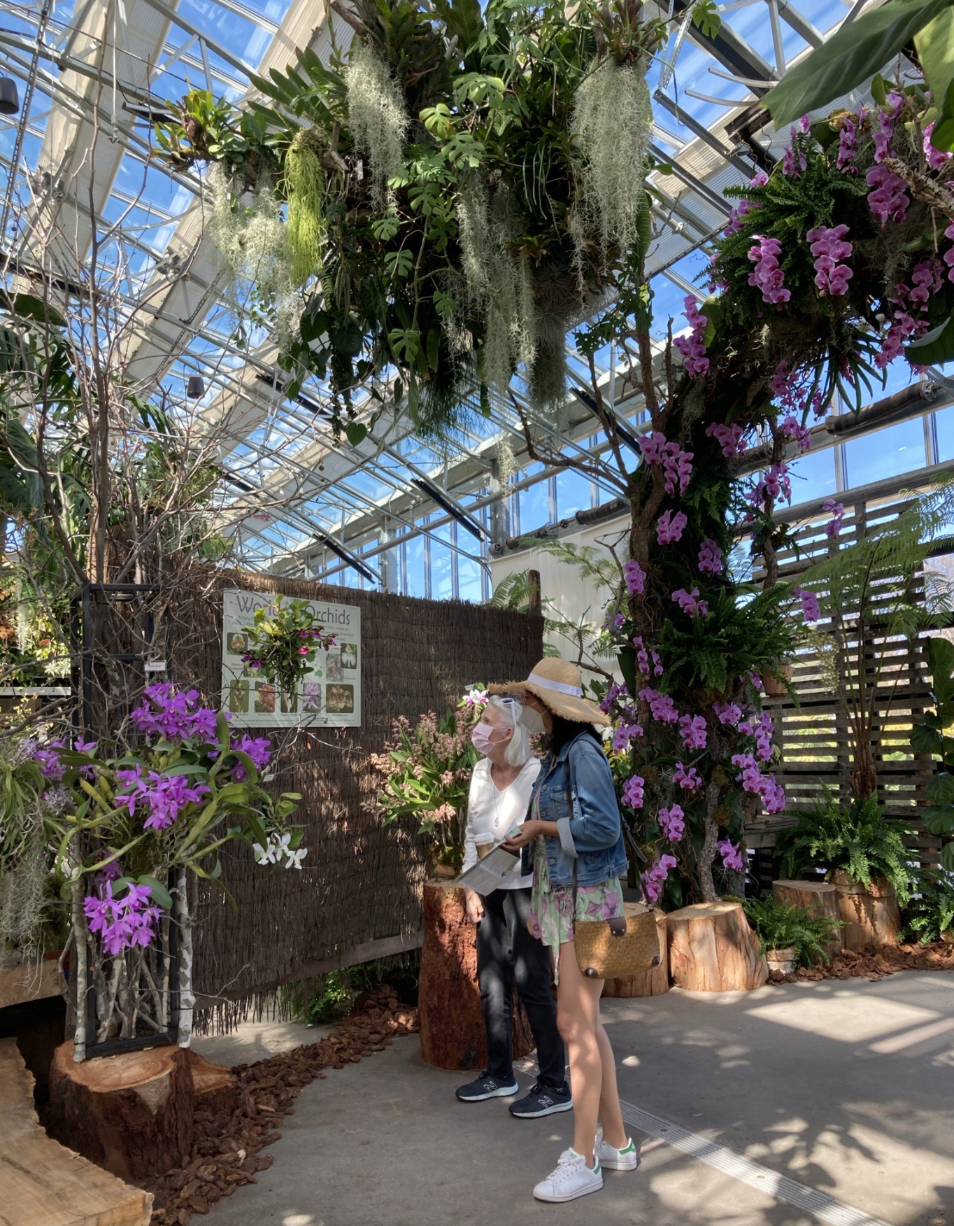 World of Orchids