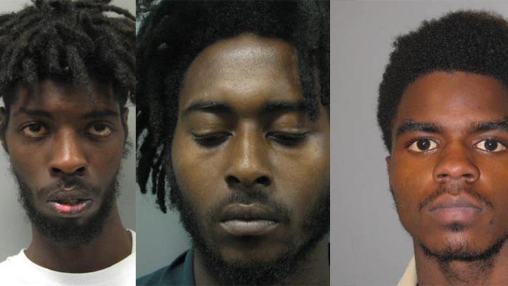 Champ, Jones, and Taylor