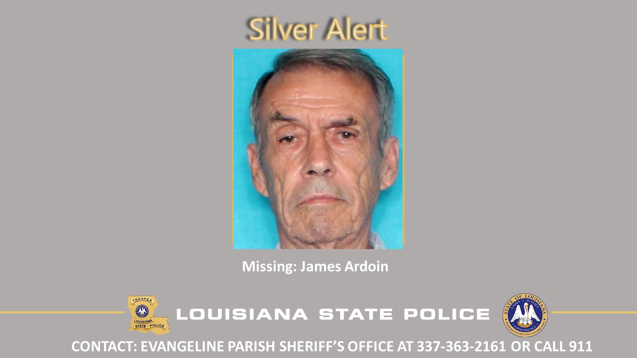 thumbnail_Ardoin Silver Alert.jpg