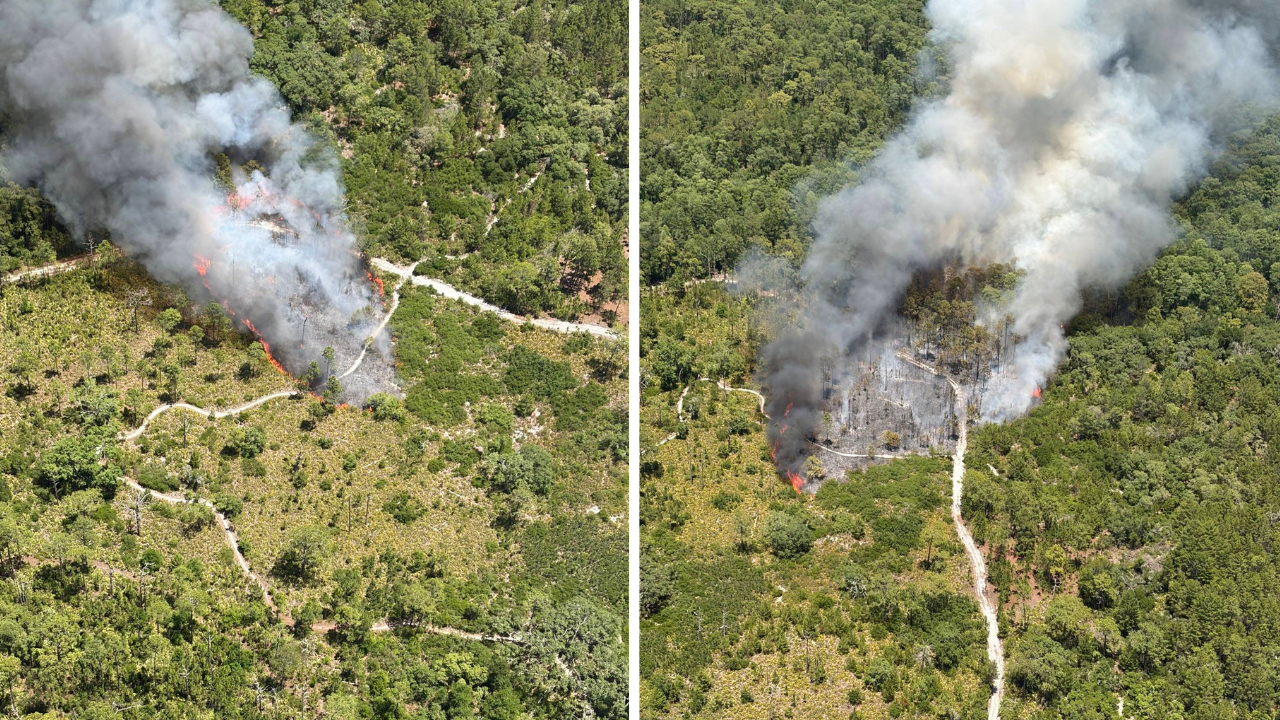 Starkey Wilderness Park in Pasco County closed Thursday due to wildfire: FFS