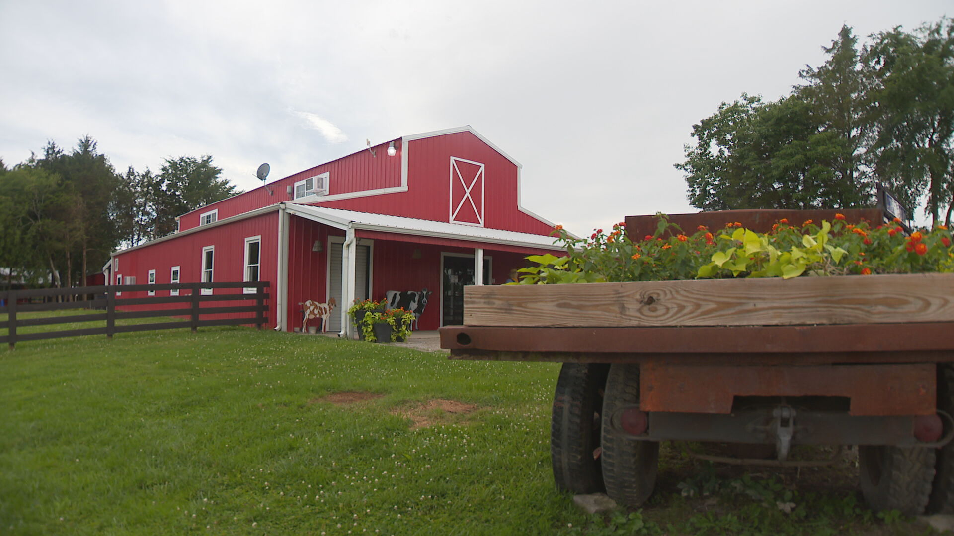 Lucky Ladd Farms Reopens_frame_22160.jpeg