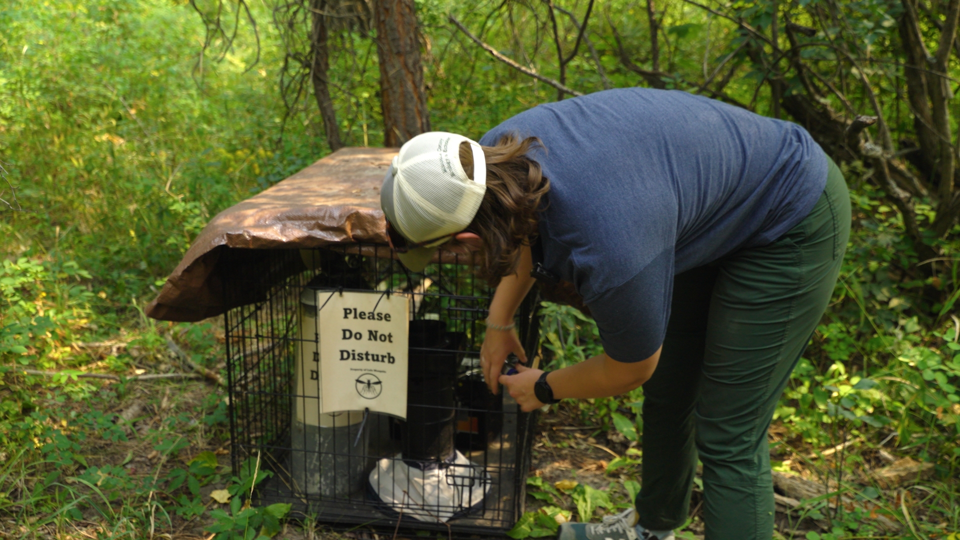 Clarissa Orton at Mosquito Trap 
