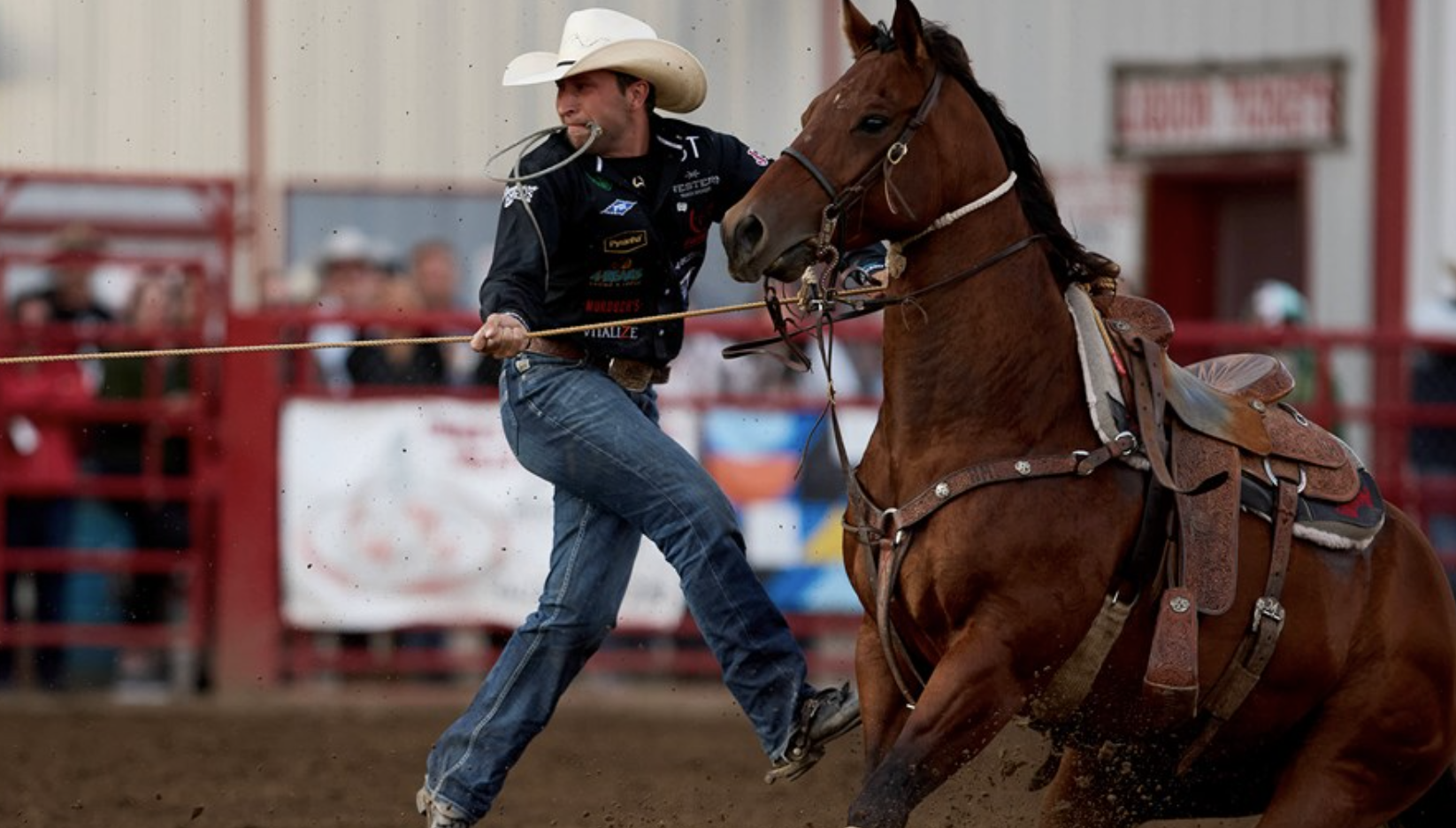 Haven Meged Ponoka Stampede