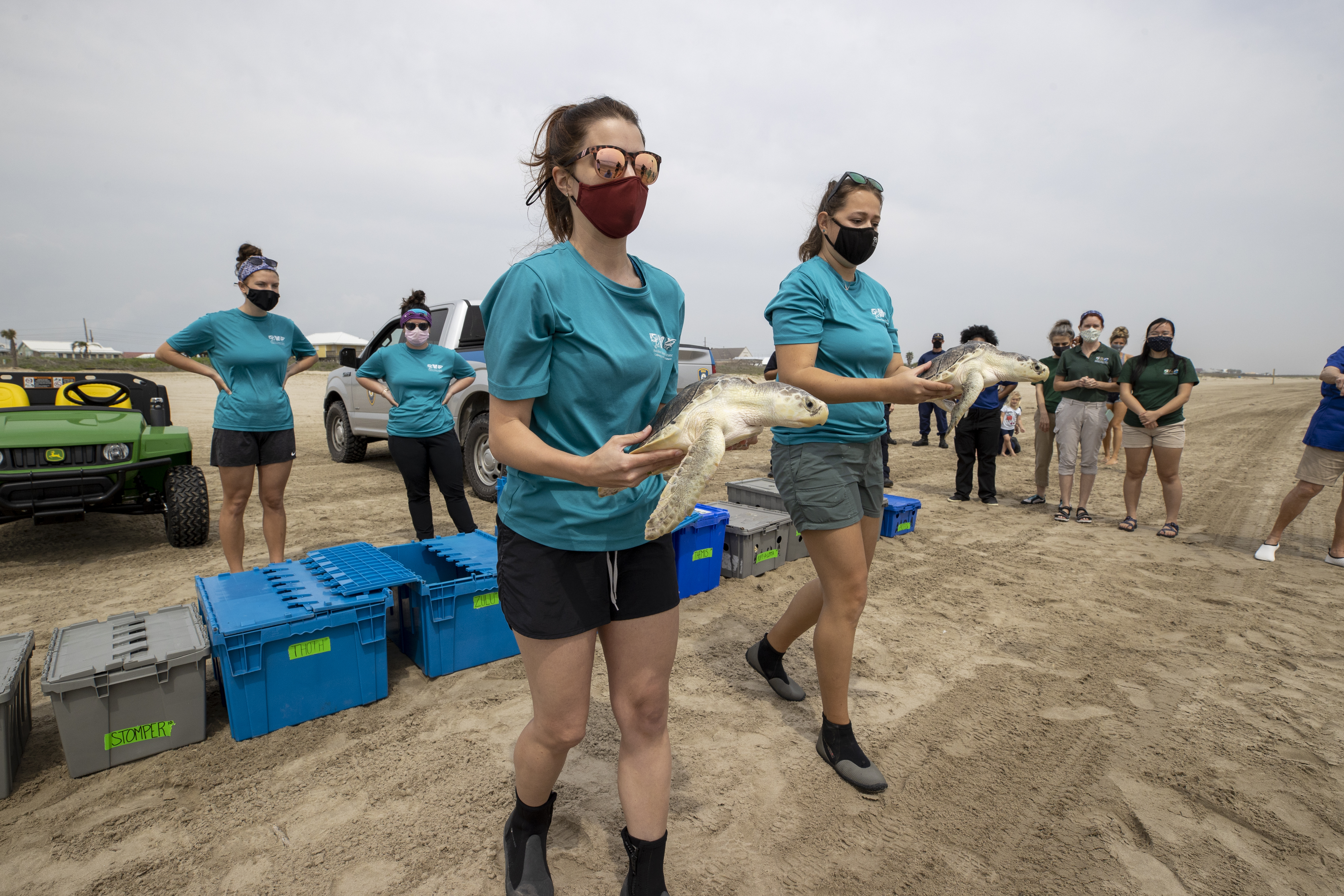 Audubon Institute turtle release
