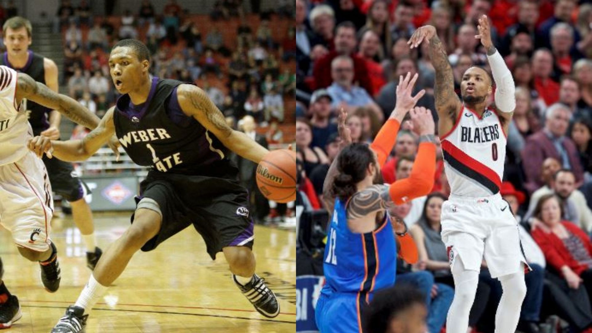 Blue template (9).jpg