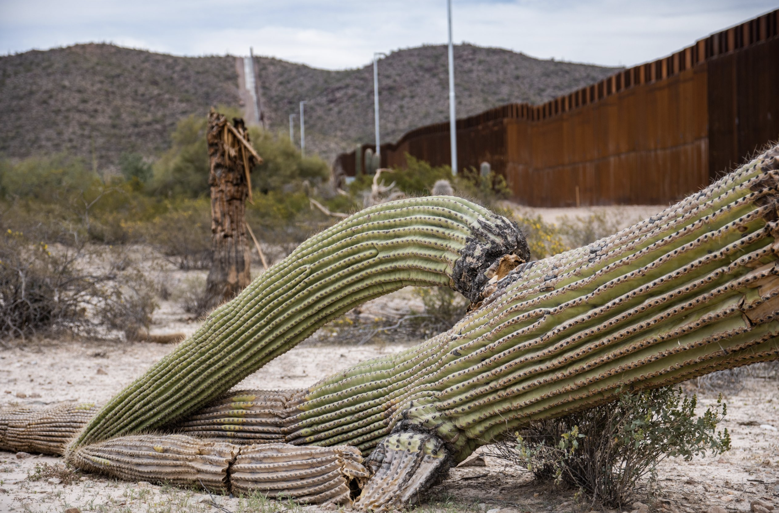 Arizona Border wall and the environment