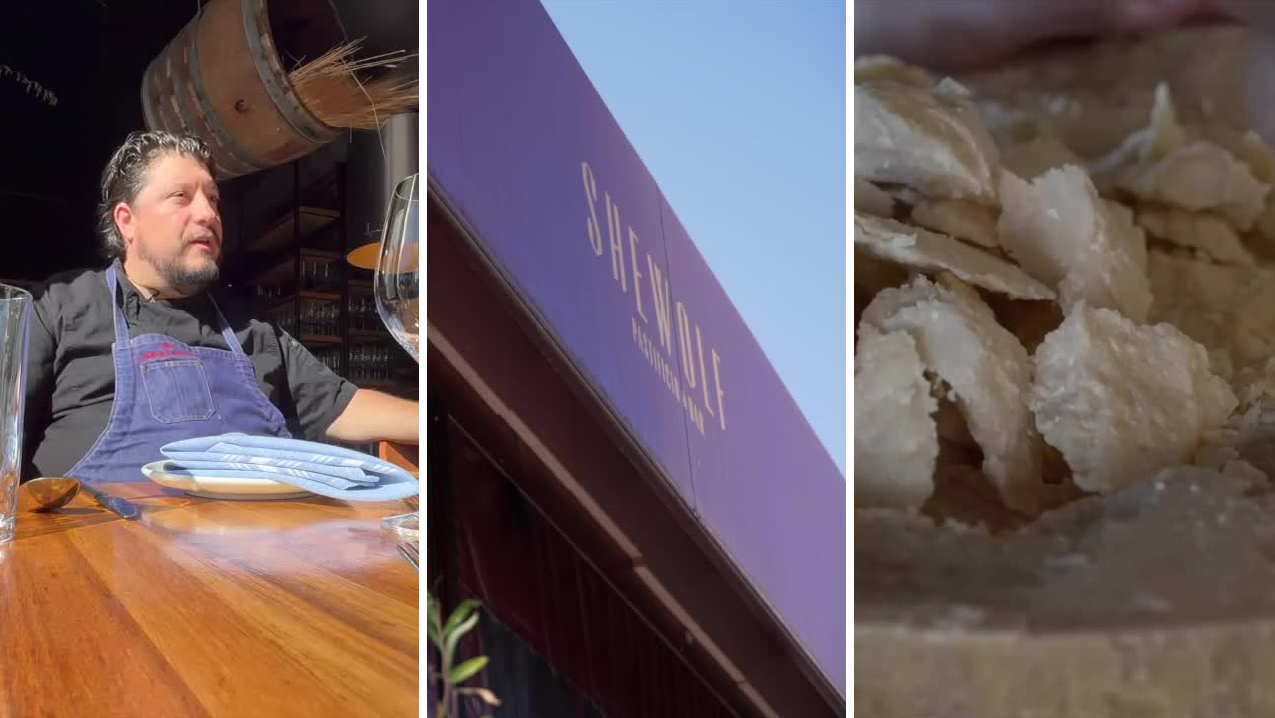 shewolf detroit combined.jpg