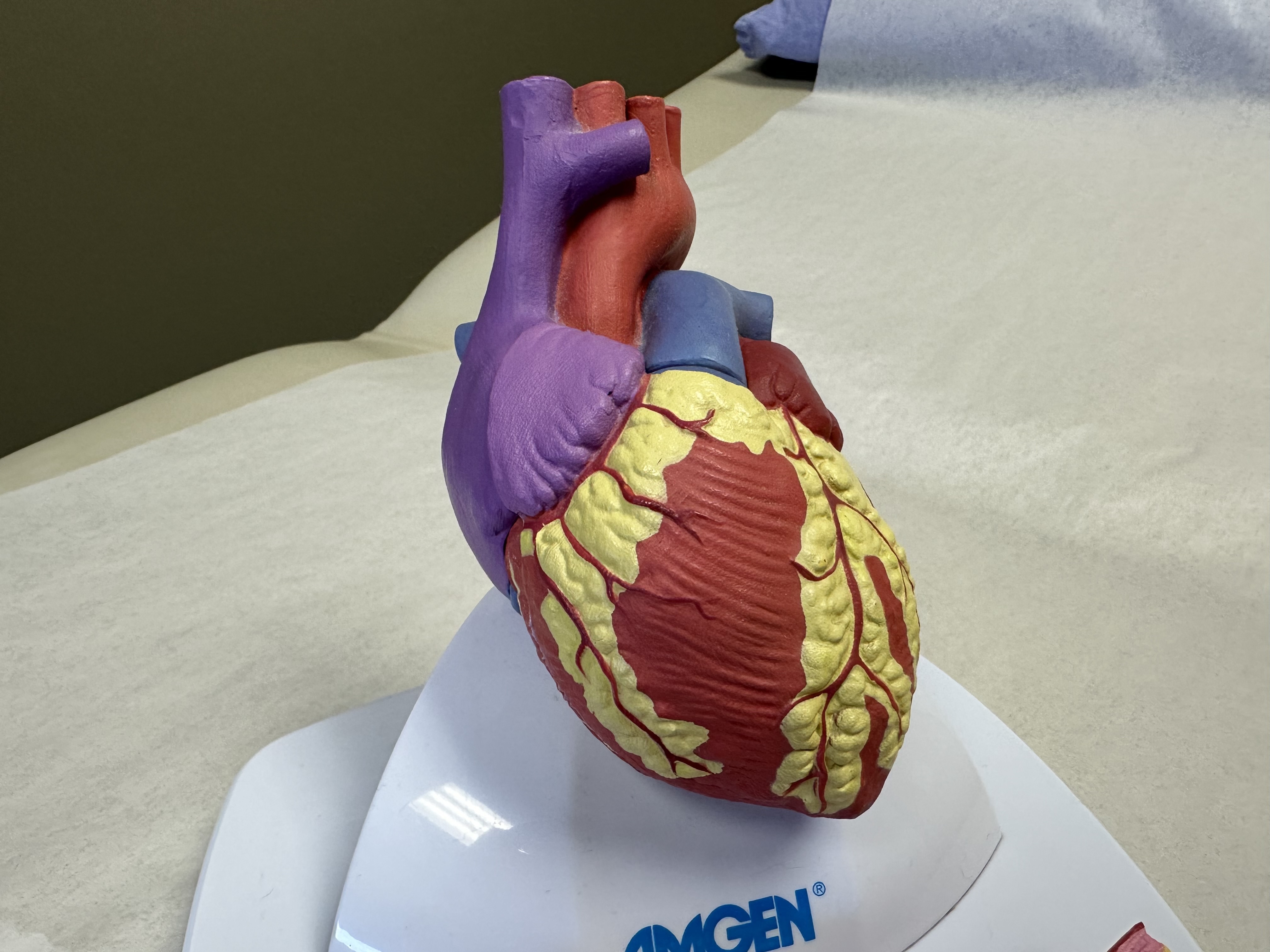 Heart.jpg