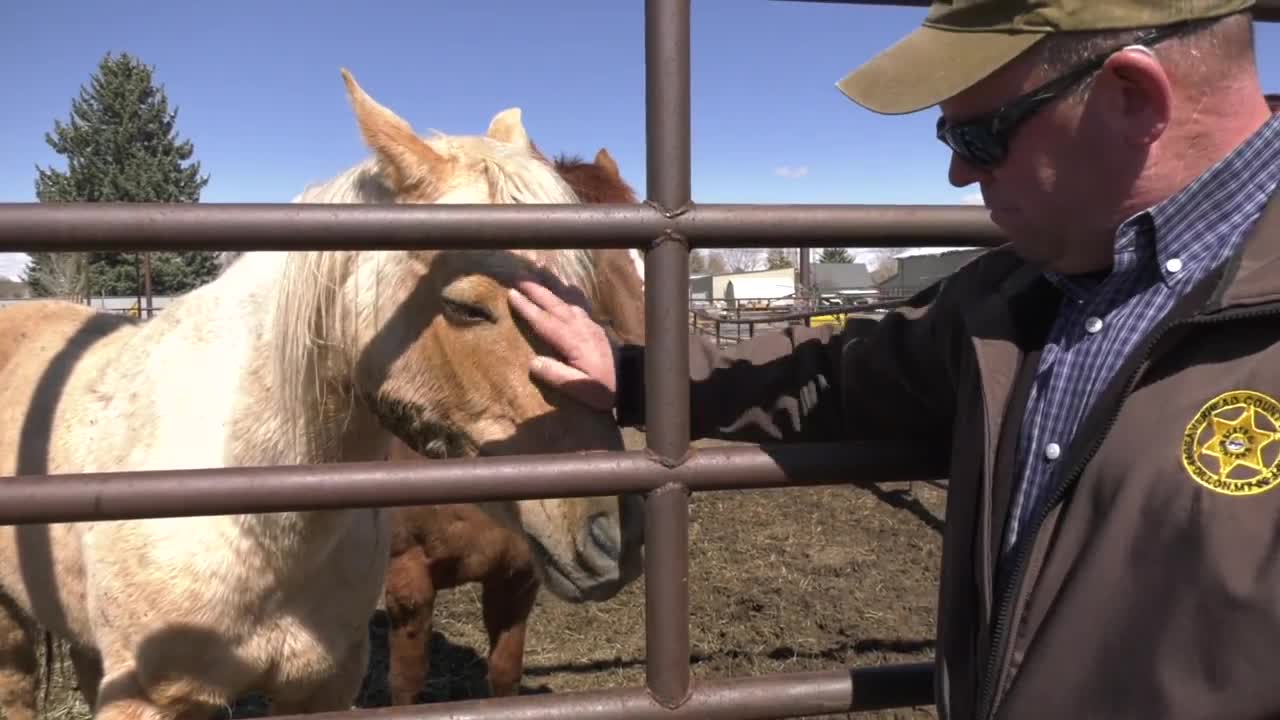 wendt with horse.jpg