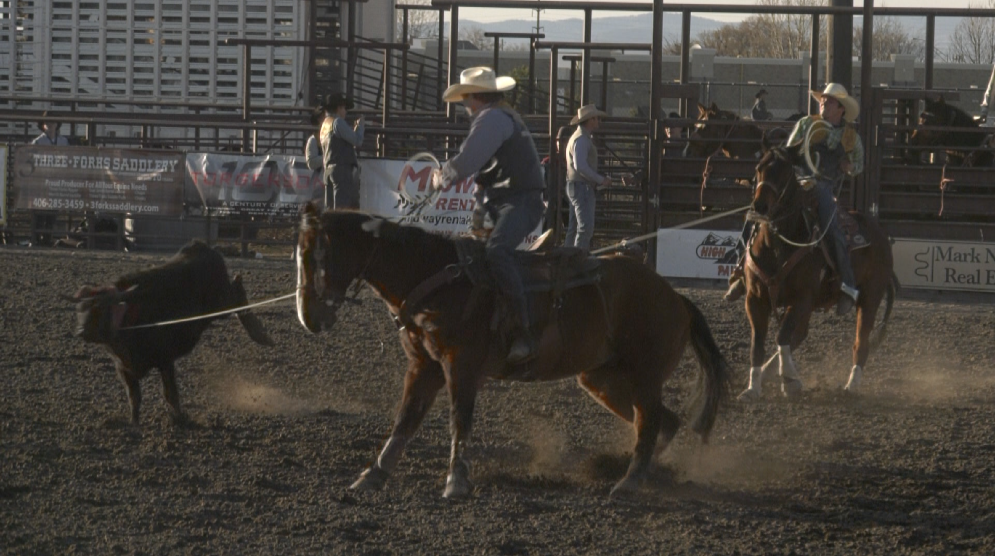 Bobcats men and women dominate Montana State Rodeo short go