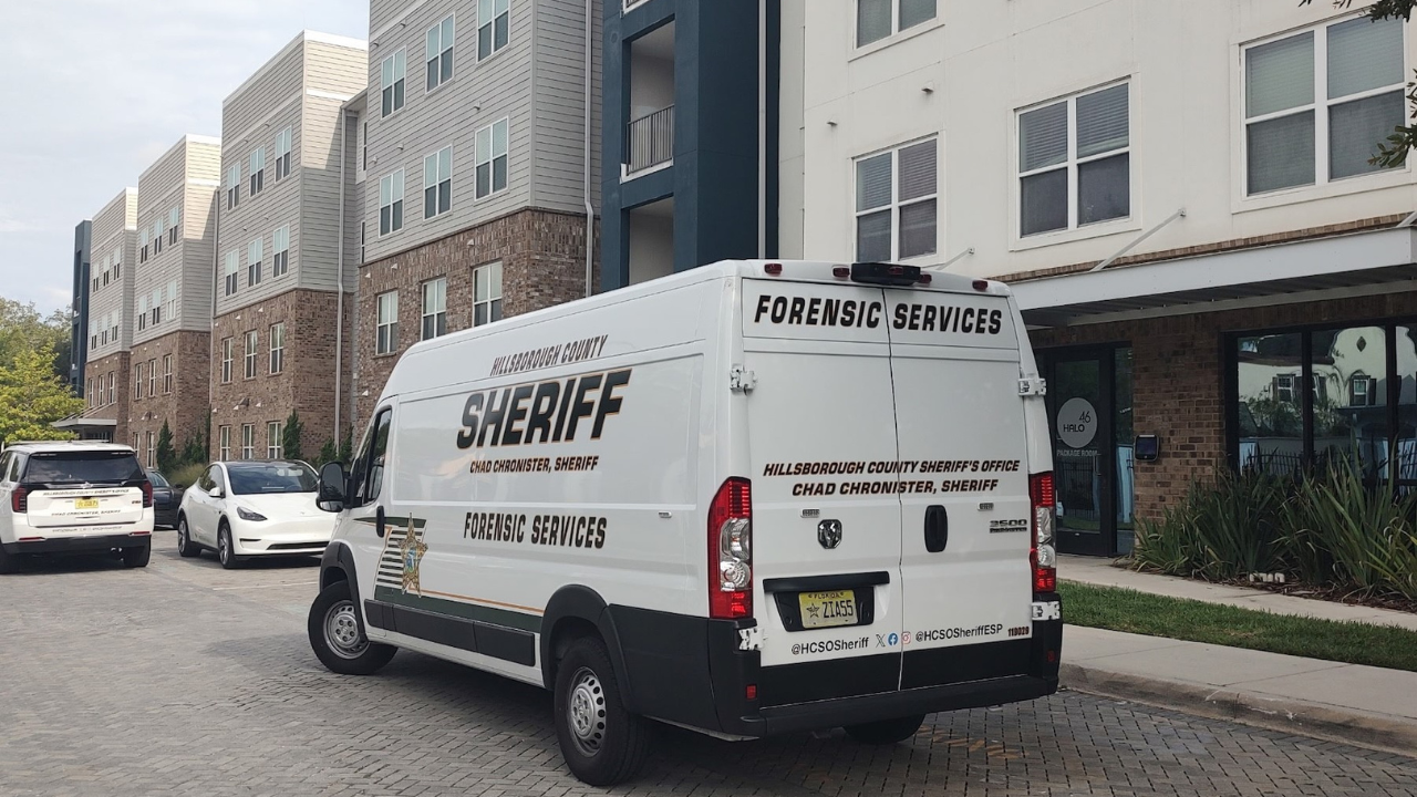 Double stabbing involving USF students under investigation in Tampa: HCSO 